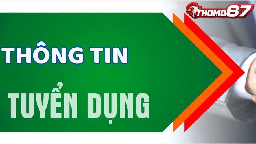 Các Vị Trí Tuyển Dụng Thomo67