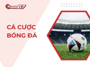 Hướng Dẫn Chơi Cá Cược Bóng Đá Tại Thomo67 Chi Tiết Cho Cược Thủ