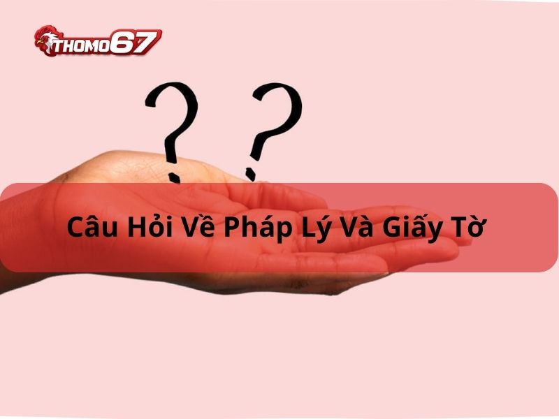 Câu hỏi thường gặp Thomo67 về pháp lý và giấy tờ